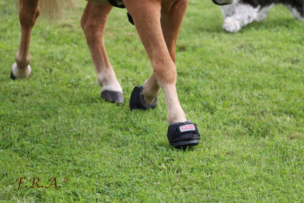 Cavallo Hoof Boots Cute Little Boot Black Cavallo Hoof Boots Cute Little Boot Black