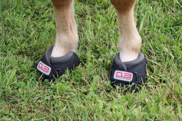 Cavallo Hoof Boots Cute Little Boot Black Cavallo Hoof Boots Cute Little Boot Black