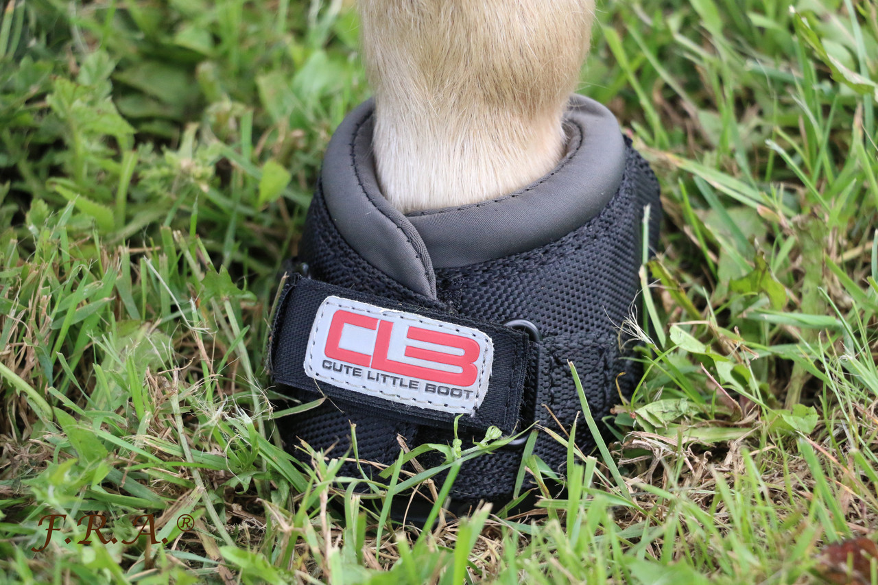 Cavallo Hoof Boots Cute Little Boot Black Cavallo Hoof Boots Cute Little Boot Black