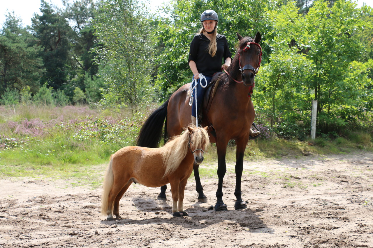 Cavallo Hipposandales CLB Noir