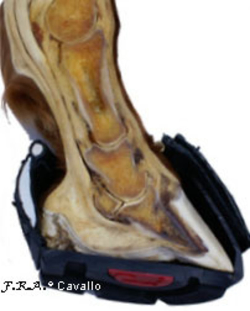 Cavallo Hoefschoenen Simple Cavallo Hoefschoenen Simple