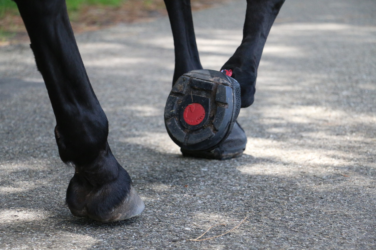 Cavallo Hoefschoenen Trek Zwart