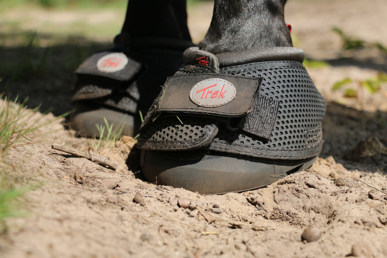 Cavallo Hoefschoenen Trek Zwart Cavallo Hoefschoenen Trek Zwart