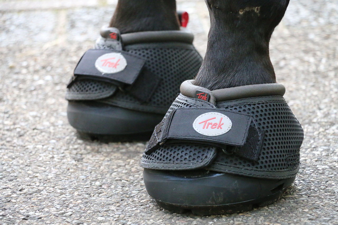 Cavallo Hoefschoenen Trek Zwart