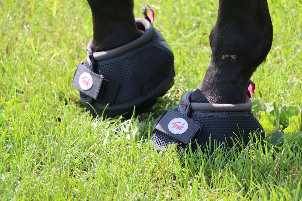 Cavallo Hoefschoenen Trek Zwart Cavallo Hoefschoenen Trek Zwart