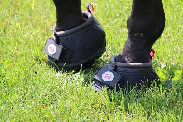 Cavallo Hoof Boots Cavallo Trek Black Cavallo Hoof Boots Cavallo Trek Black
