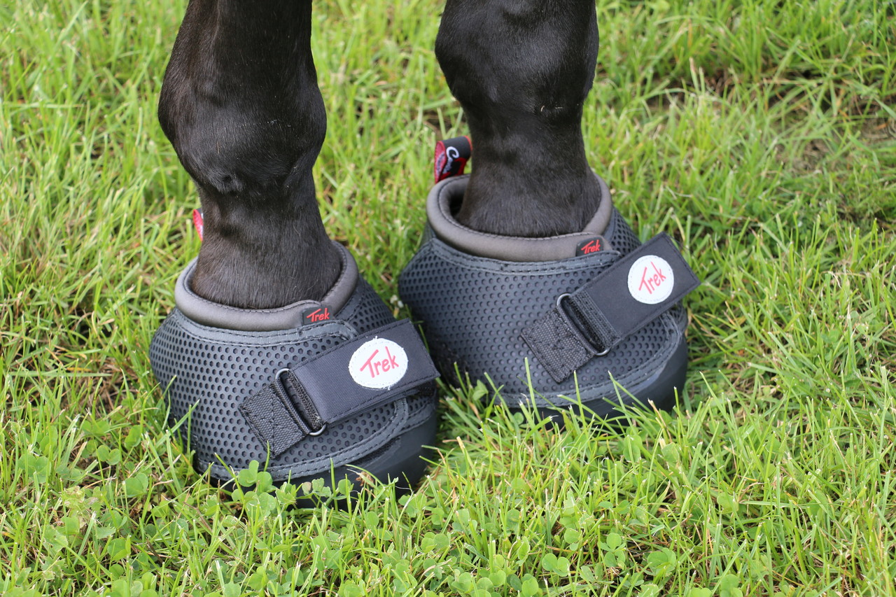 Cavallo Hoof Boots Cavallo Trek Black Cavallo Hoof Boots Cavallo Trek Black