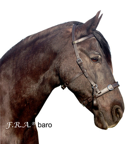 F.R.A. Baro Cavesson Black Shire