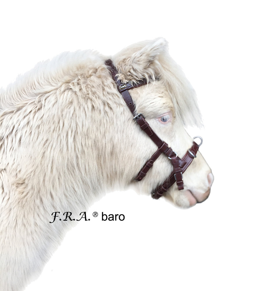 F.R.A. Baro Cavesson Noir Shire