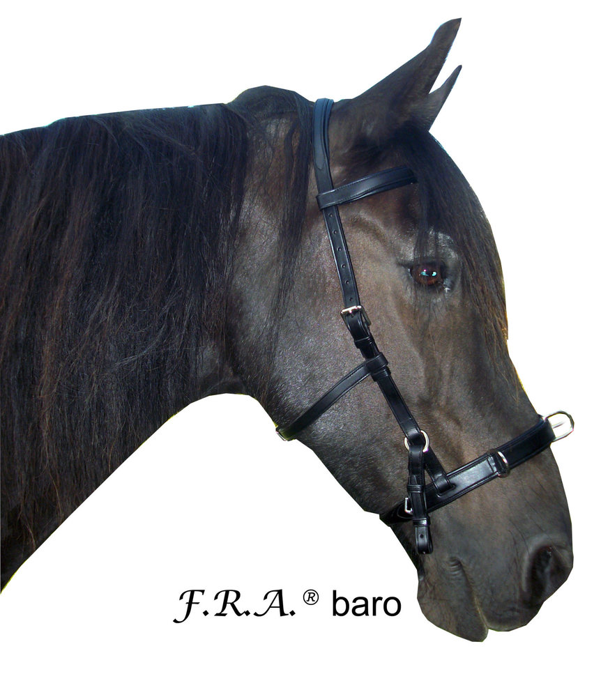 F.R.A. Baro Cavesson Noir Shire