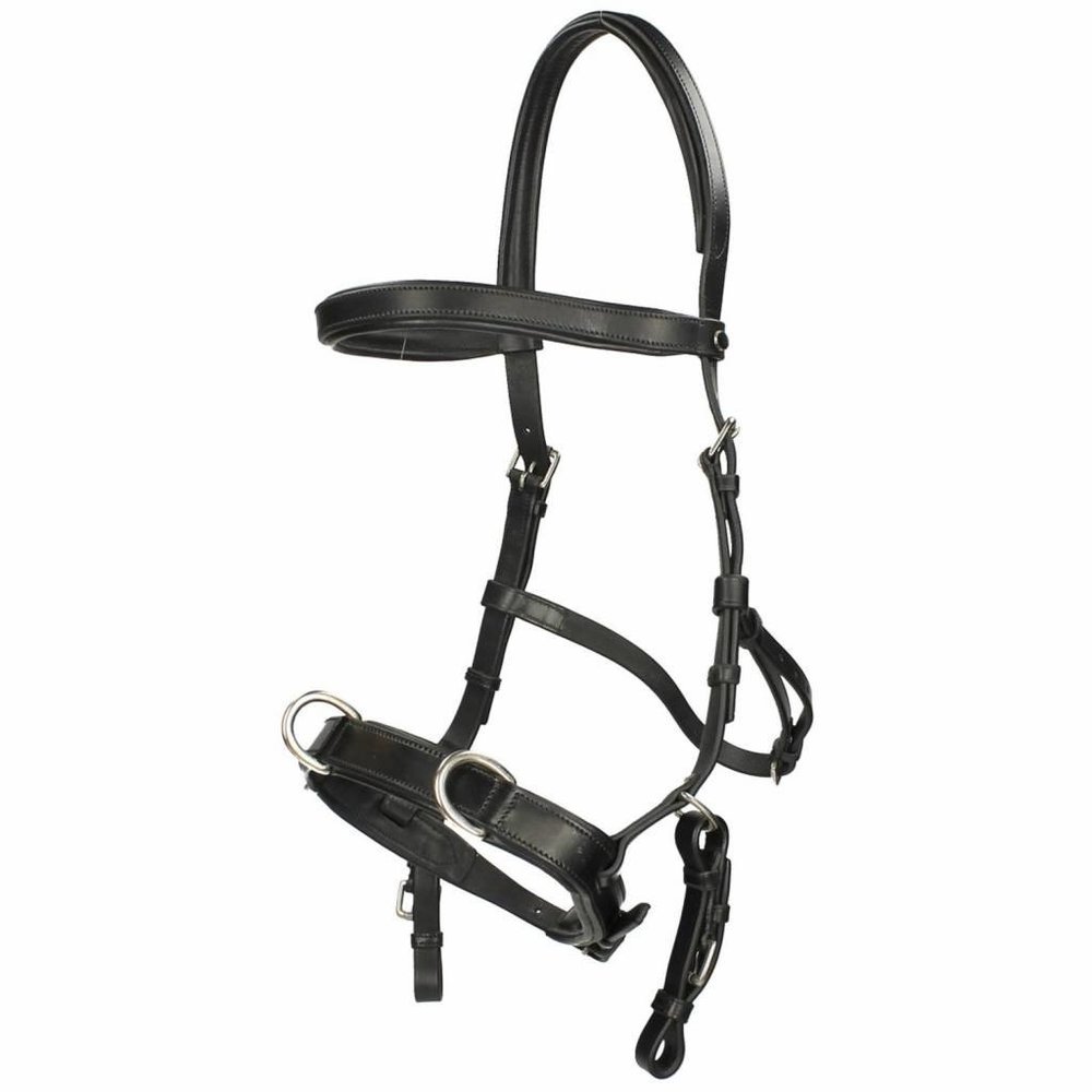 F.R.A. Baro Cavesson Noir Shire