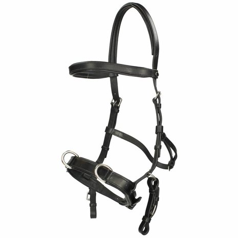 F.R.A. Baro Cavesson Black Shire