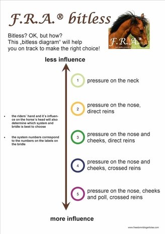 F.R.A. Baro Cavesson Black Shire