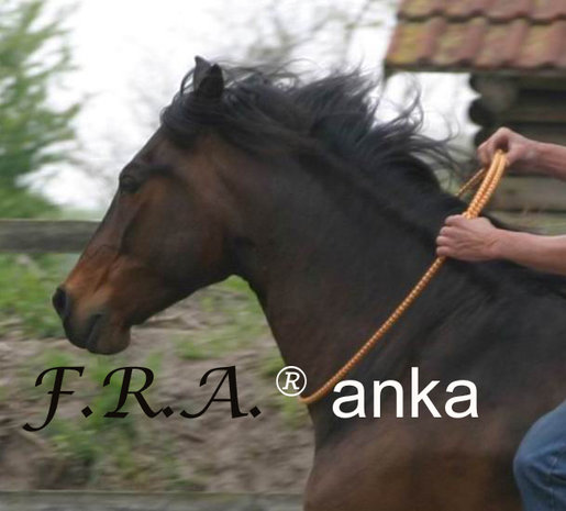 F.R.A. Anka Rijring 12mm F.R.A. Anka Rijring 12mm