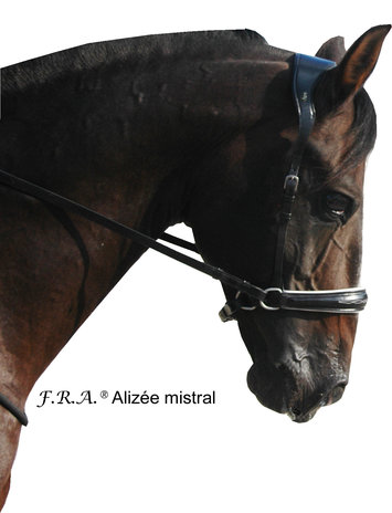F.R.A. Alizee Mistral Hoofdstel - met teugels