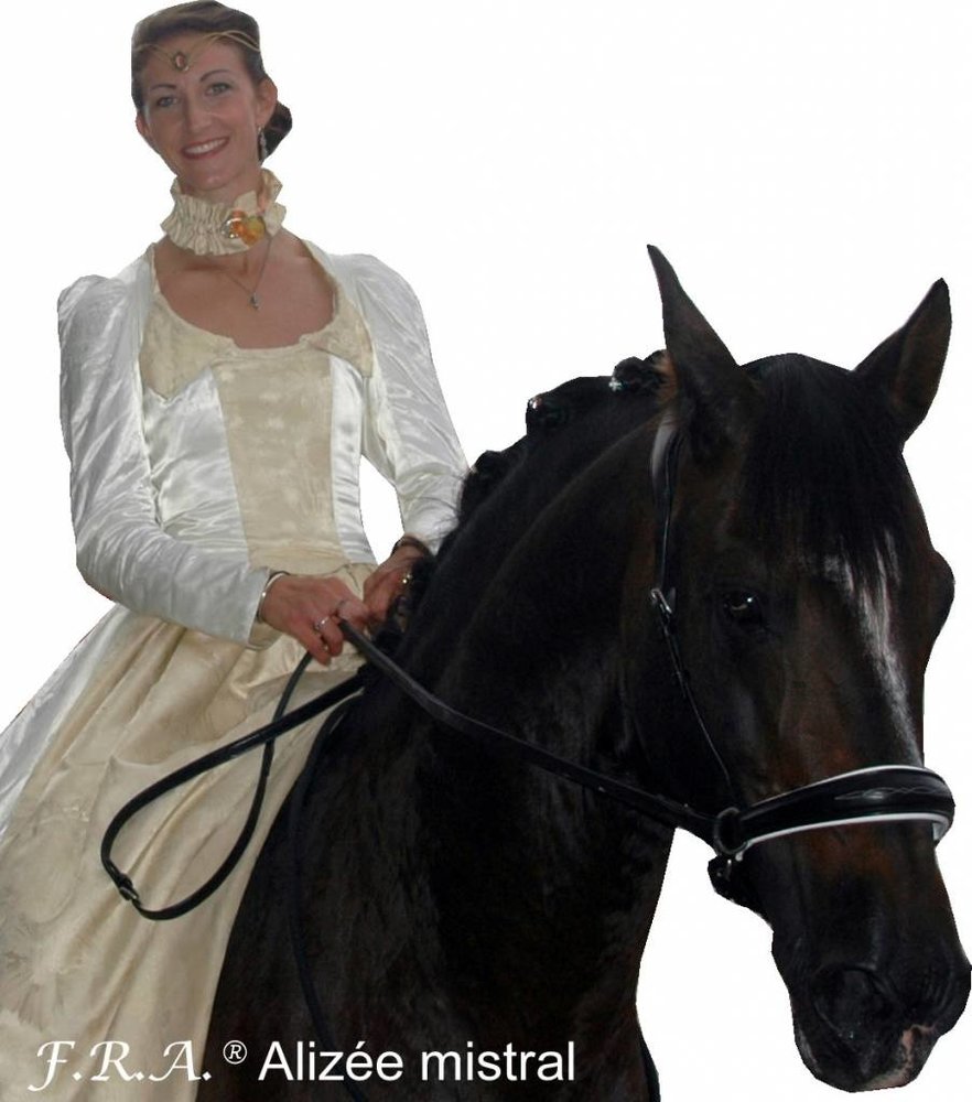F.R.A. Alizee Mistral Hoofdstel - met teugels