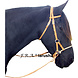 F.R.A. Larusha Sisal Neusriem Sidepull - met teugels F.R.A. Larusha Sisal Neusriem Sidepull - met teugels
