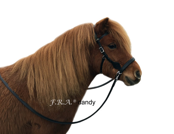 F.R.A. Dandy Sidepull - met teugels