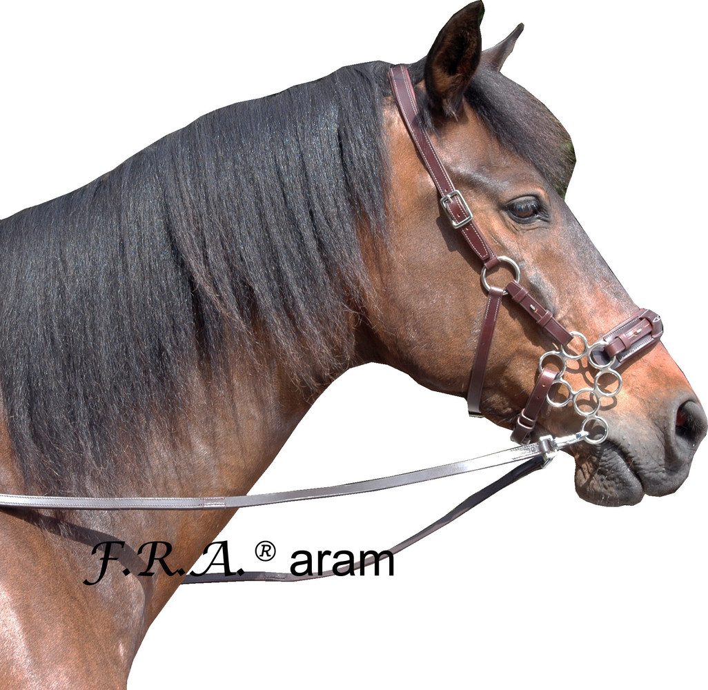 F.R.A. Aram Hackamore Bitloos Hoofdstel - Universeel