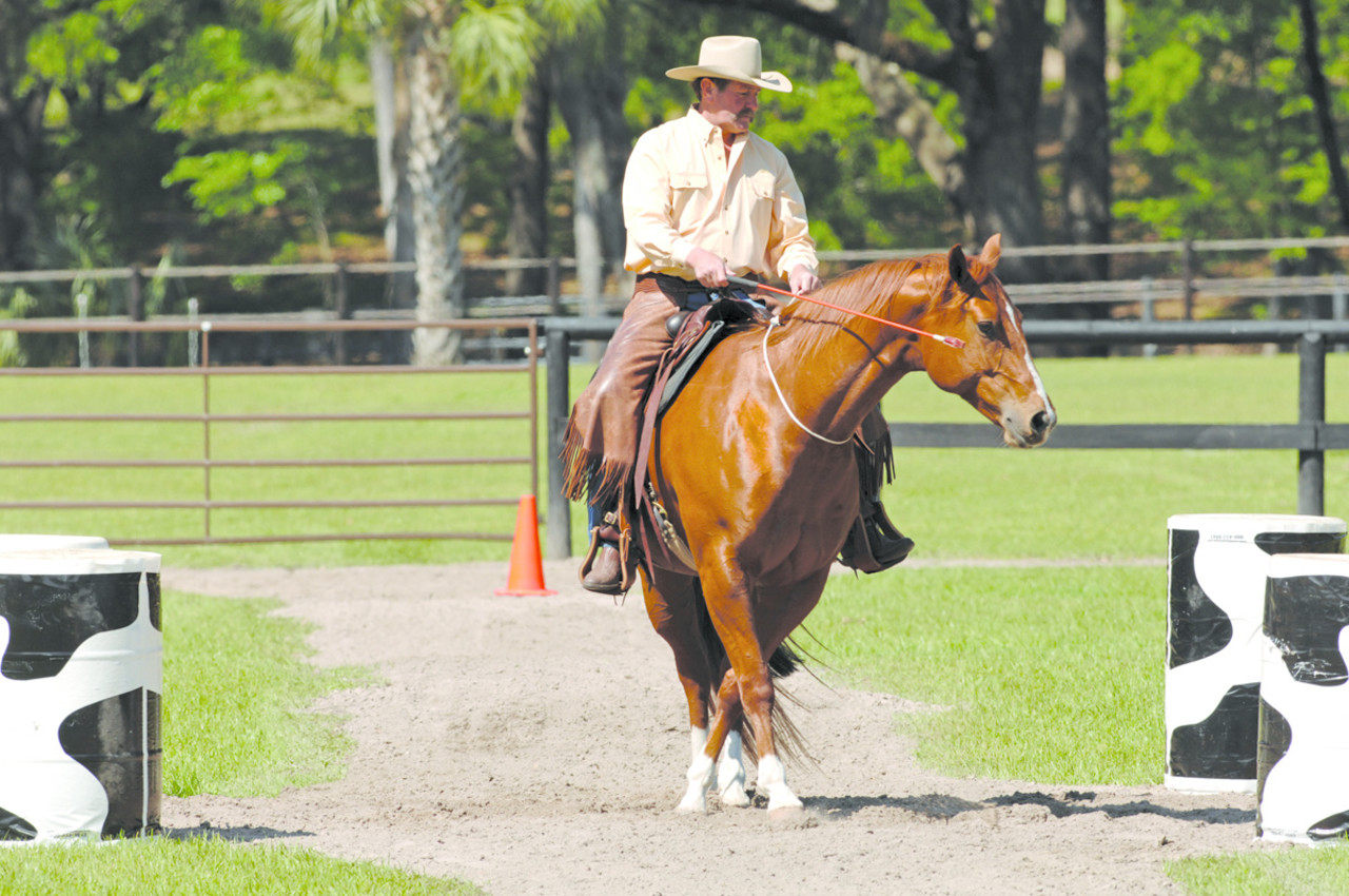 Parelli Savvy String 6ft Parelli Savvy String 6ft