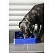Excellent Eetbak hond Eat Slow Live Longer Ster Blauw S Excellent Eetbak hond Eat Slow Live Longer Ster Blauw S