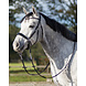 QHP Bitloos hoofdstel Sunna zwart Full QHP Bitloos hoofdstel Sunna zwart Full