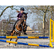 QHP Bitloos hoofdstel Sunna zwart Full QHP Bitloos hoofdstel Sunna zwart Full