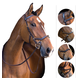 Micklem Multibridle Brown Micklem Multibridle Brown