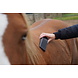 Excellent Grooming Borstel Excellent Horse Large Excellent Grooming Borstel Excellent Horse Large
