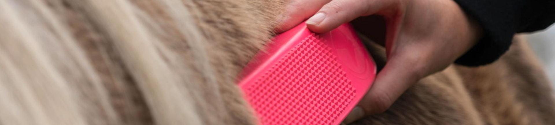 Je paard z'n vacht optimaal verzorgen? Ontdek hier onze nieuwste innovatieve borstels & accessoires!