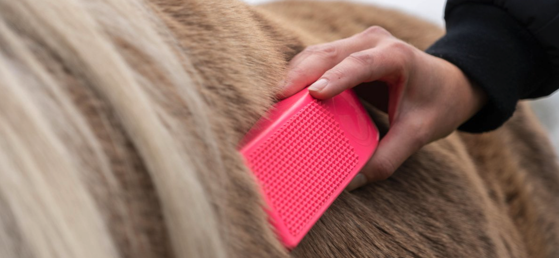Je paard z'n vacht optimaal verzorgen? Ontdek hier onze nieuwste innovatieve borstels & accessoires!