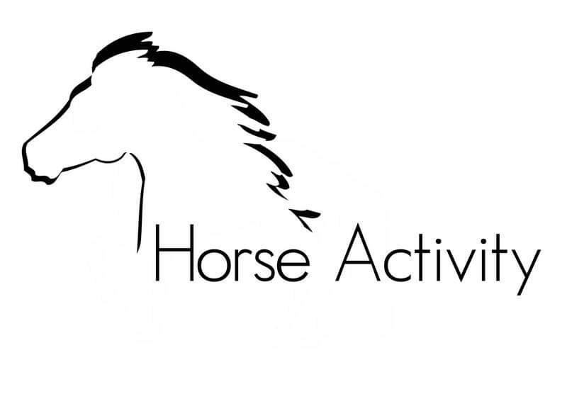 https://dre81.wixsite.com/horseactivity