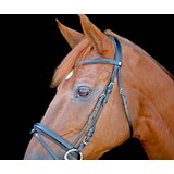 LJ Leathers Hoofdstel New Classic Gecombineerde neusriem linnen teugels zwart Pony LJ Leathers Hoofdstel New Classic Gecombineerde neusriem linnen teugels zwart Pony