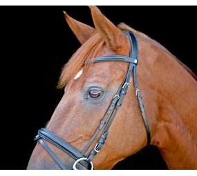 LJ Leathers Hoofdstel New Classic Gecombineerde neusriem linnen teugels zwart Pony LJ Leathers Hoofdstel New Classic Gecombineerde neusriem linnen teugels zwart Pony