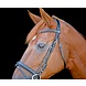 LJ Leathers Hoofdstel New Classic Gecombineerde neusriem linnen teugels zwart LJ Leathers Hoofdstel New Classic Gecombineerde neusriem linnen teugels zwart