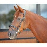 LJ Leathers Hoofdstel New Fancy gecombineerde neusriem rubber teugels zwart Pony LJ Leathers Hoofdstel New Fancy gecombineerde neusriem rubber teugels zwart Pony