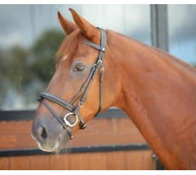 LJ Leathers Hoofdstel New Fancy gecombineerde neusriem rubber teugels zwart Pony LJ Leathers Hoofdstel New Fancy gecombineerde neusriem rubber teugels zwart Pony