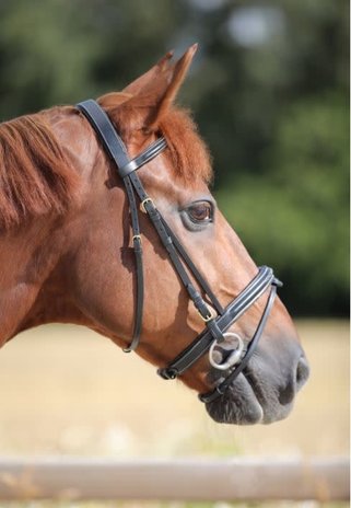 LJ Leathers Hoofdstel New Fancy gecombineerde neusriem rubber teugels zwart Pony