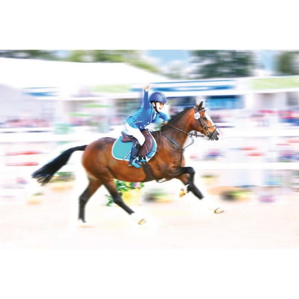 Bates Saddle Bates Elevation Deep Seat  Plus Pony Havana Brown Bates Saddle Bates Elevation Deep Seat  Plus Pony Havana Brown