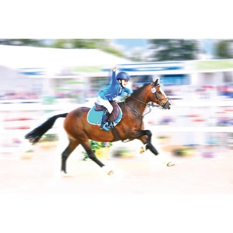 Bates Saddle Bates Elevation Deep Seat  Plus Pony Havana Brown Bates Saddle Bates Elevation Deep Seat  Plus Pony Havana Brown