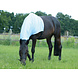 Halsdeken met rits lichtblauw L 155/165cm Halsdeken met rits lichtblauw L 155/165cm