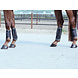 Busse Peesbeschermers Active-Mesh Zwart Busse Peesbeschermers Active-Mesh Zwart
