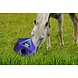 Excellent Maximus Feed & Play Excellent Maximus Feed & Play