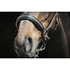 Penelope Lederen halster Point Sellier Zwart Penelope Lederen halster Point Sellier Zwart