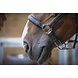 Penelope Lederen halster Point Sellier Zwart Penelope Lederen halster Point Sellier Zwart