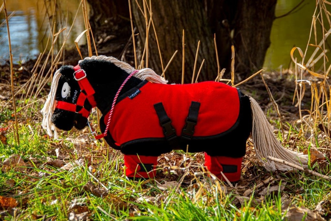 Crafty Ponies Crafty Ponies ensemble de couverture polaire y.c. livret d'instructions NL