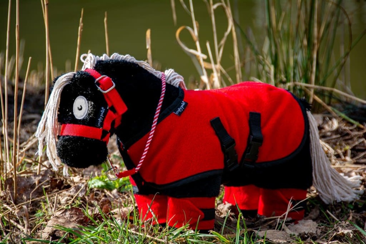 Crafty Ponies Crafty Ponies fleecedeken set incl. instructieboekje Crafty Ponies Crafty Ponies fleecedeken set incl. instructieboekje