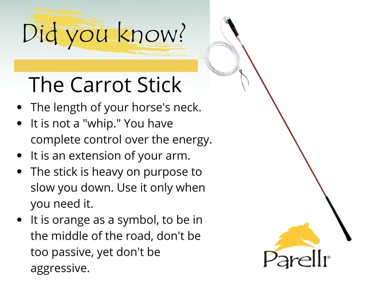 Parelli Stick Parelli Parelli Stick Parelli