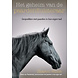 Het geheim van de paardenfluisteraar, Wilsie Het geheim van de paardenfluisteraar, Wilsie