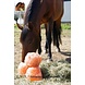 F.R.A. Himalaya conische zoutliksteen 2.6 kg F.R.A. Himalaya conische zoutliksteen 2.6 kg